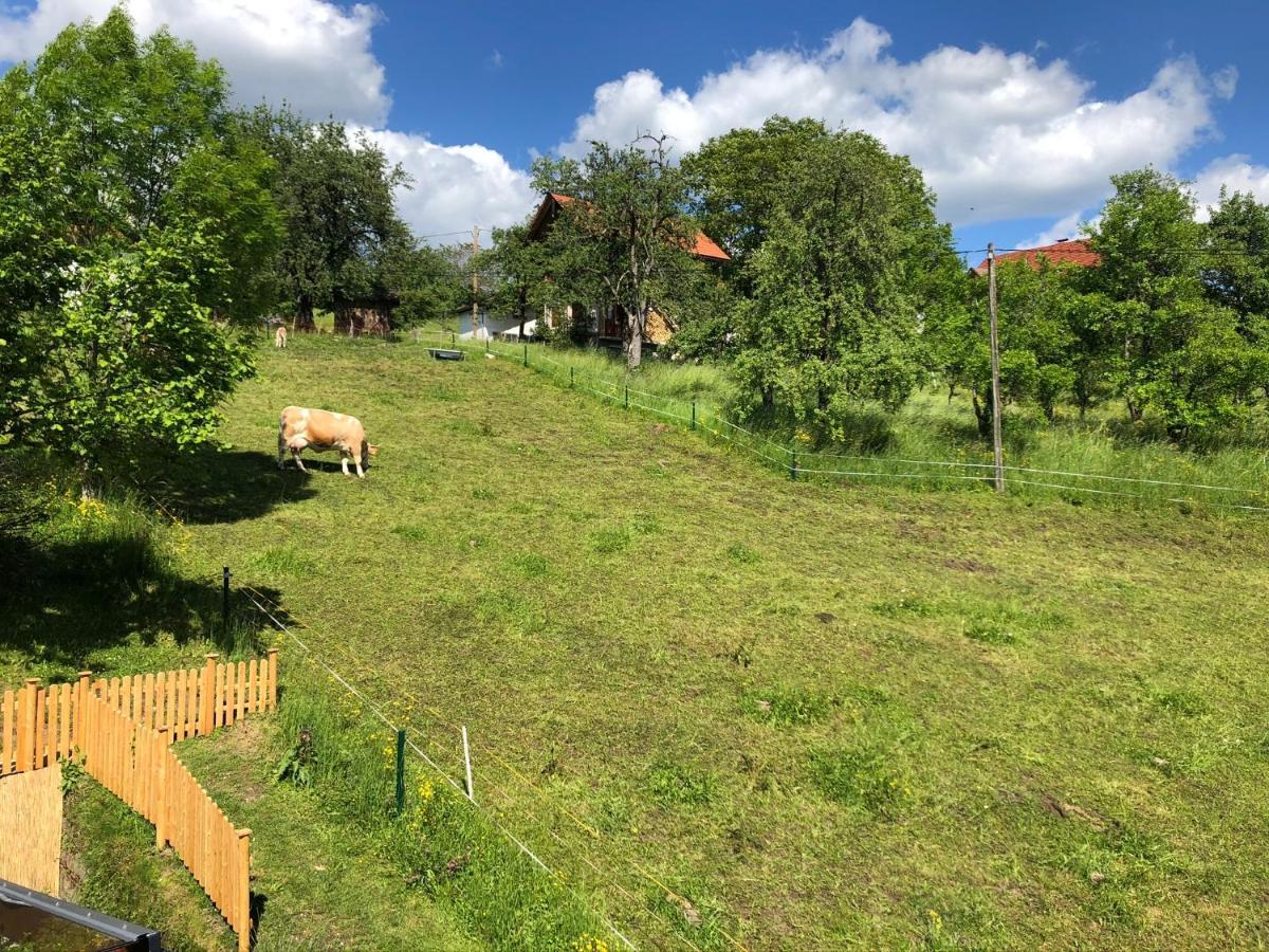 Ferienwohnung Fam. Unterberger Bad Goisern Zewnętrze zdjęcie